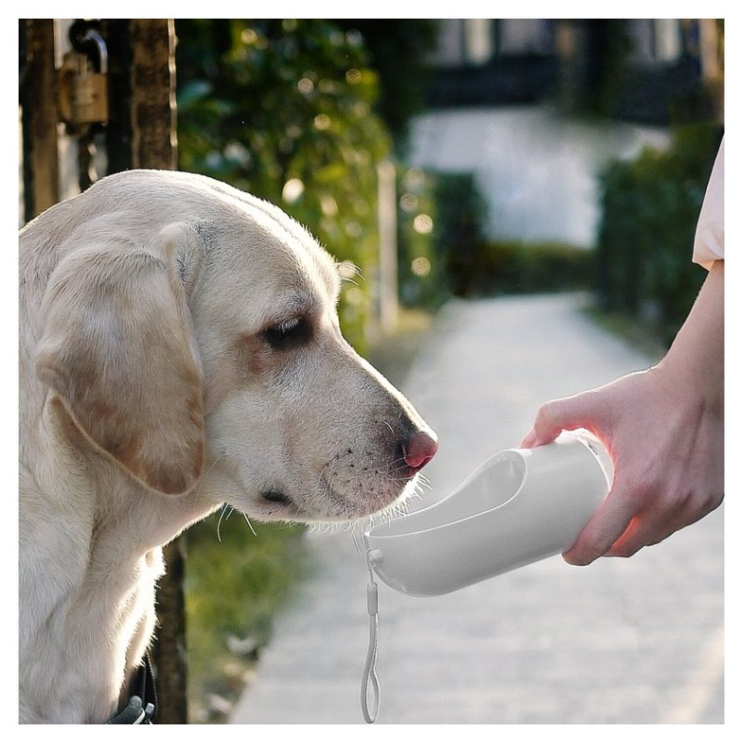 Portable Pet Dog Water Bottle Dispenser