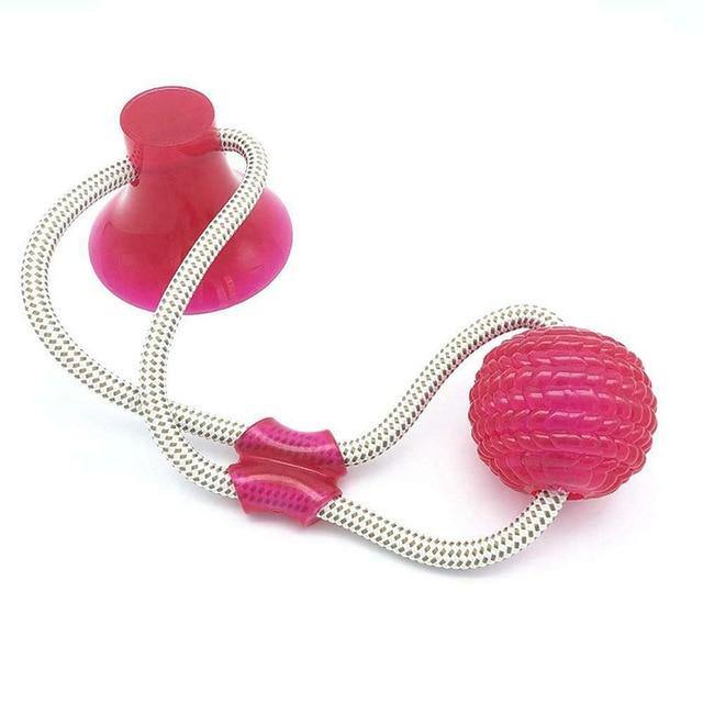 2021 Leader Dog Chewy Ball Toy® - pawleader - Pink - pawleader