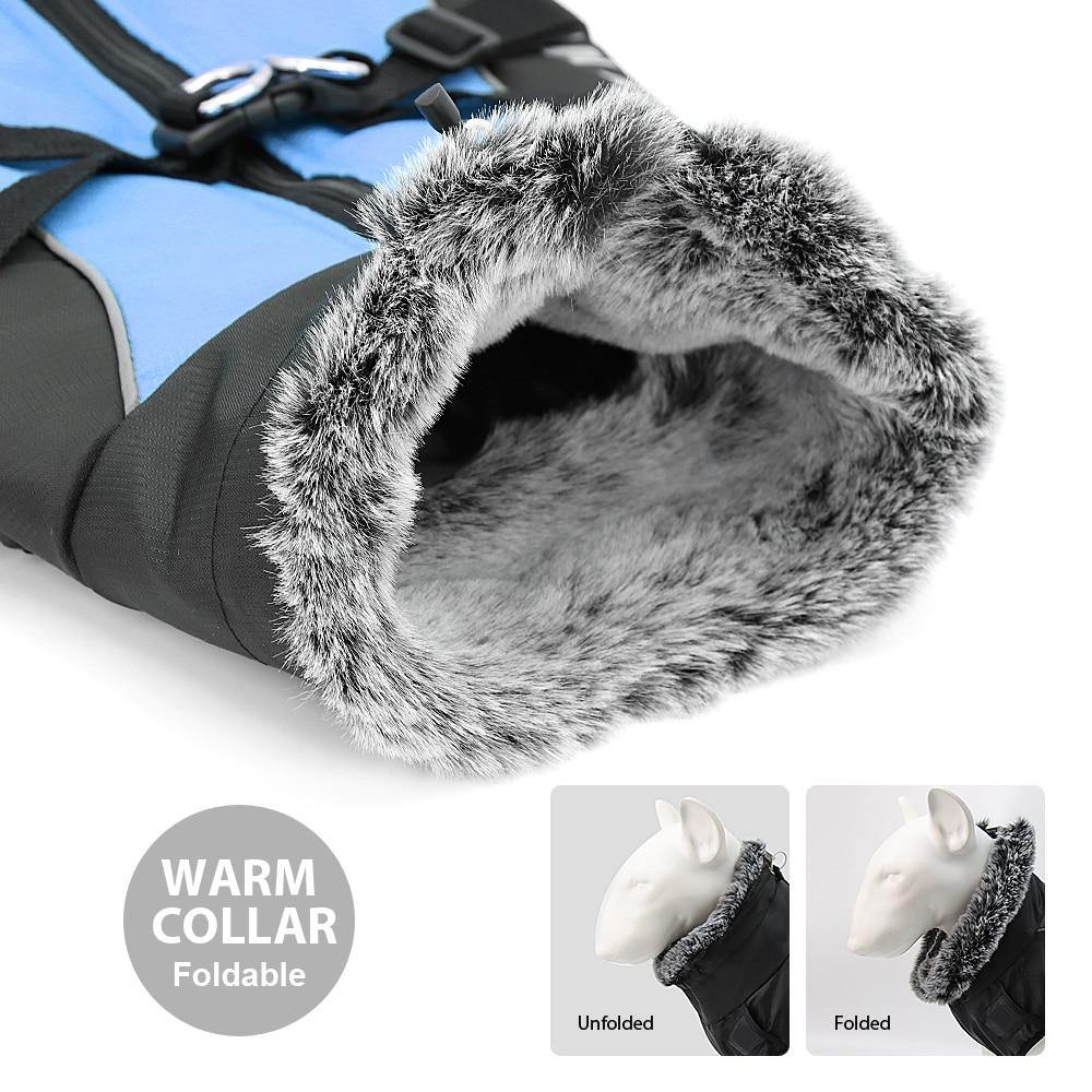 Dogs 2021 Winter Coat & Harness - pawleader - pawleader